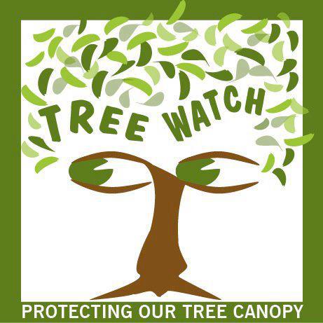 Surat Tree Watch